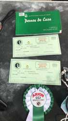 Resultados 70 Exposicion Nacional de Badajoz   1er EXC CAC ICARO DE AROFER (WORKING CLASS) Y 1ER EXC