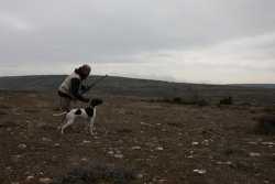 DOG I DE LA MAZORRA