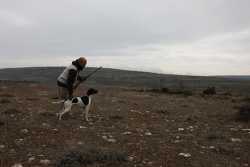 DOG I DE LA MAZORRA