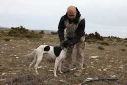 DOG I DE LA MAZORRA