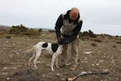 DOG I DE LA MAZORRA